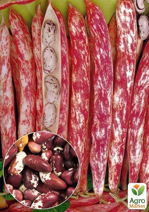 На развес Фасоль "Ласточка" ТМ "Весна" цена за 15г