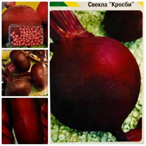 Комплект семян свеклы "Бордовый Всплеск" 5уп