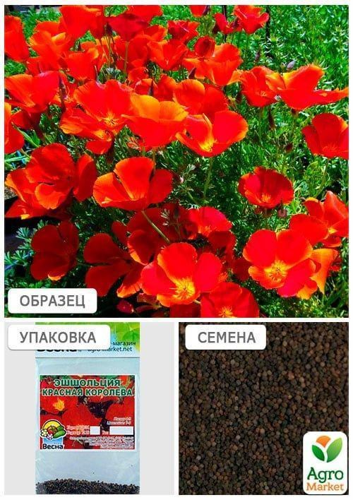 Ешшольція "Червона королева" (Зипер) ТМ "Весна" 1г - фото 4