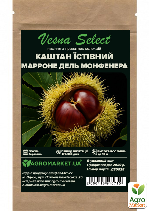 Каштан съедобный "Марроне дель Монфенера" ТМ "Vesna Select" 3шт - фото 2