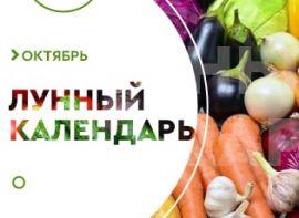 Місячний посівний календар на жовтень 2021 - корисні статті про садівництво від Agro-Market