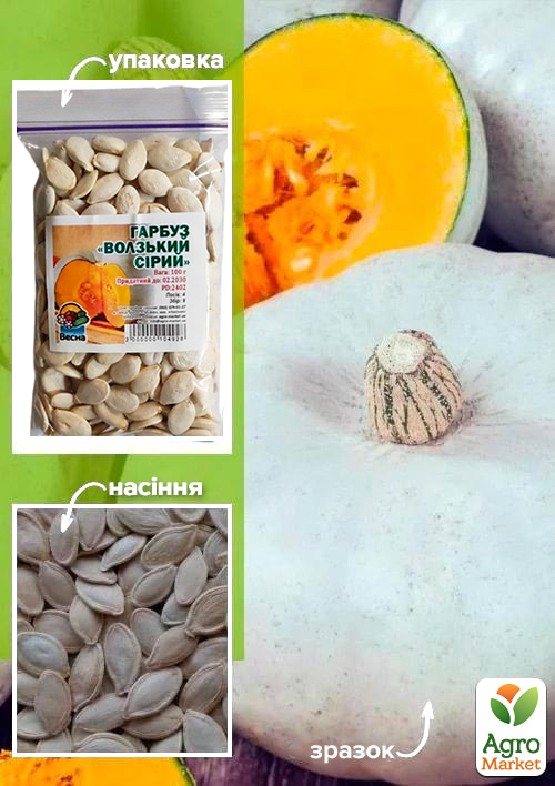 Тыква "Волжская серая" ТМ "Весна" 100г