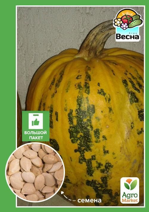 Гарбуз "Український багатоплідний" (Великий пакет) ТМ "Весна" 8г