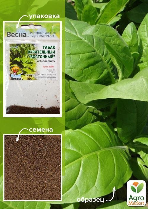 Семена Табак курительный "Восточный" (Зипер) ТМ "Весна" 0.5г