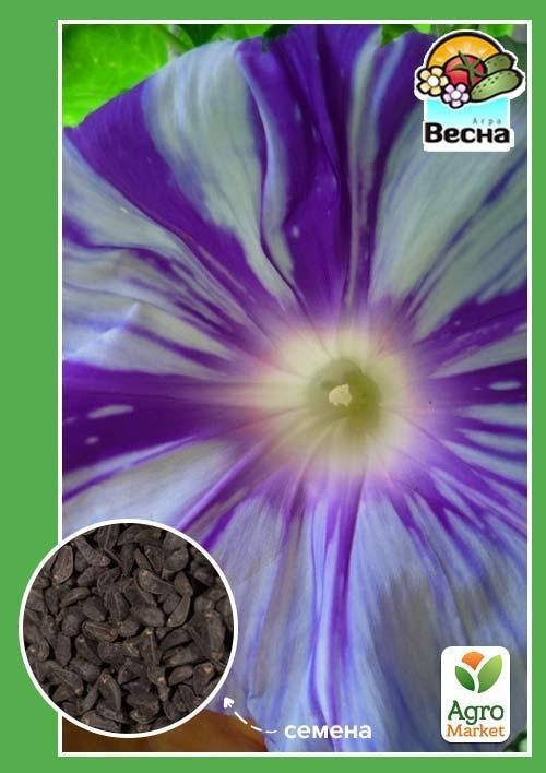 Іпомея "Літаюча Тарілка" ТМ "Весна" 0.5г