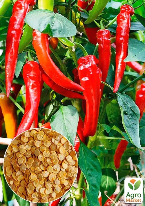 Перец острый "Харуз" ТМ "Весна" 100г