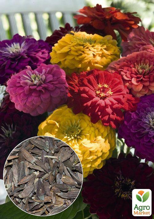 На развес Циния смесь ТМ "Весна" цена за 4г