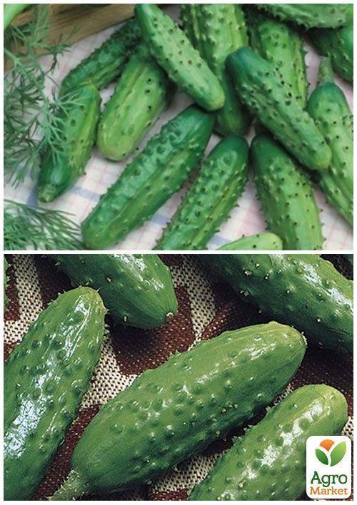 На вагу Огірок "Паризький корнішон" ТМ "Весна" ціна за 5г - фото 3