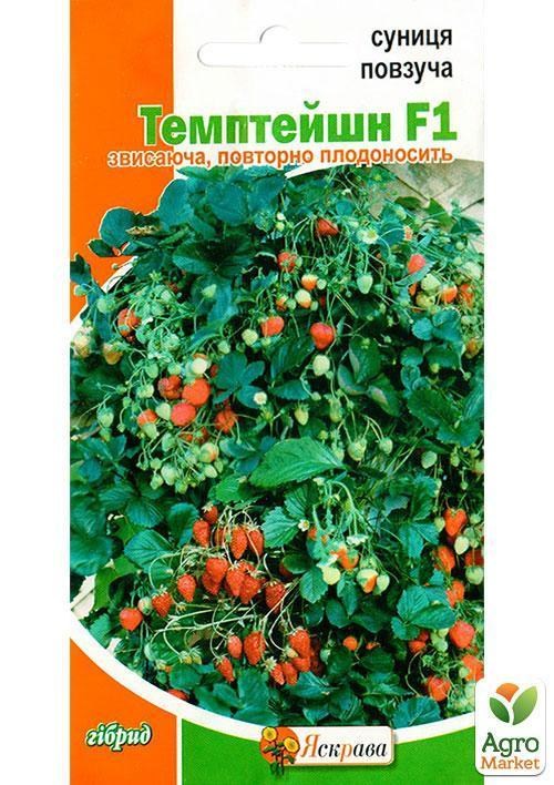 Суниця "Темтейшн F1" ТМ "Яскрава" 0.01г