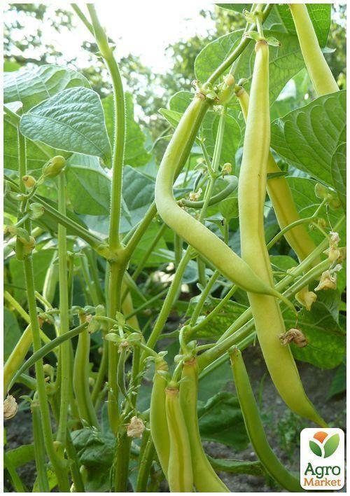 На развес Фасоль "Лопатка" ТМ "Весна" цена за 20г - фото 3