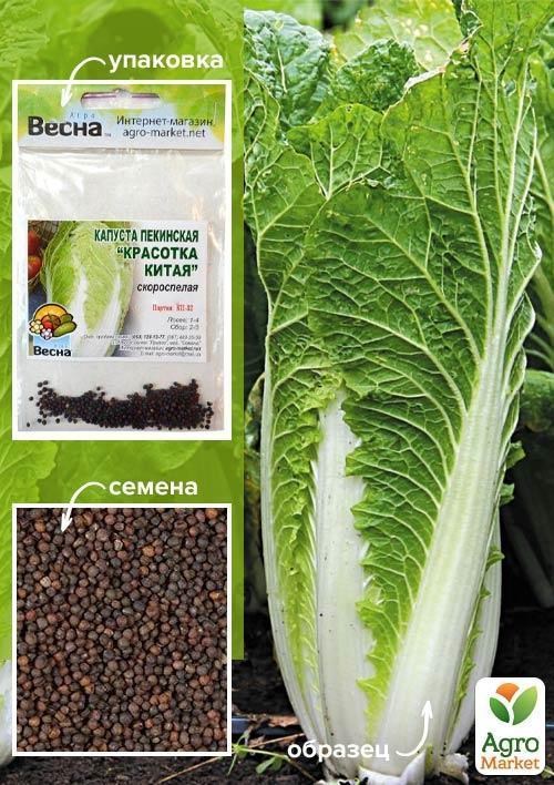 Капуста пекинская "Красотка Китая" (Зипер) ТМ "Весна" 1г