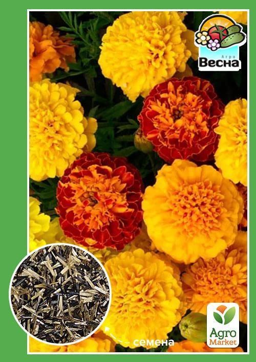Бархатцы "Бархатный сезон" ТМ "Весна" 0.3г