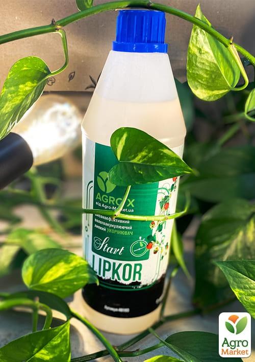 Липкий укорінювач нового покоління LIPKOR "START" (Ліпкор) ТМ "AGRO-X" 1л