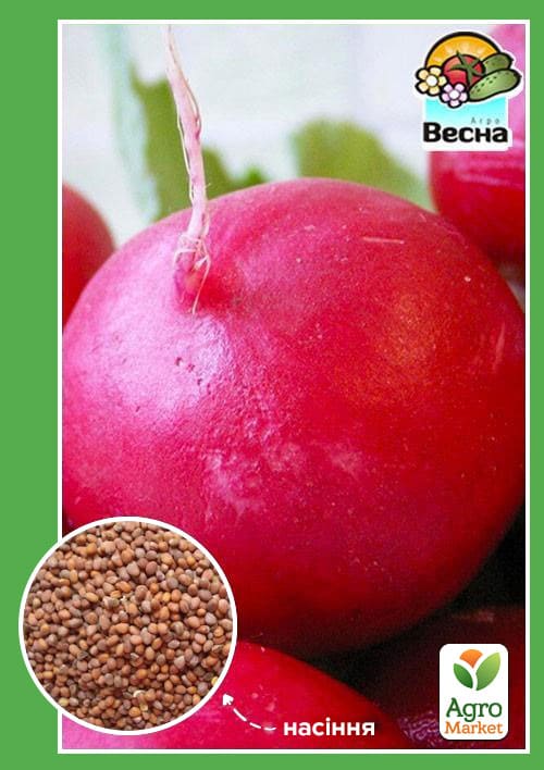 Редька лобо "Червона зимова" ТМ "Весна" 1г