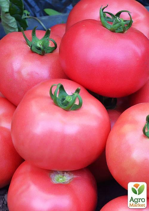 Томат "Altai Rose" ТМ "Vesna Select" 0.2г