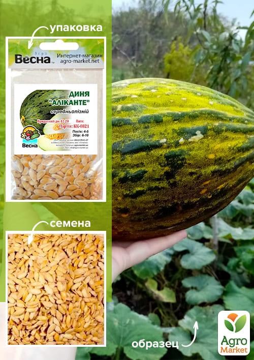 Диня "Аліканте" (Зипер) ТМ "Весна" 3г