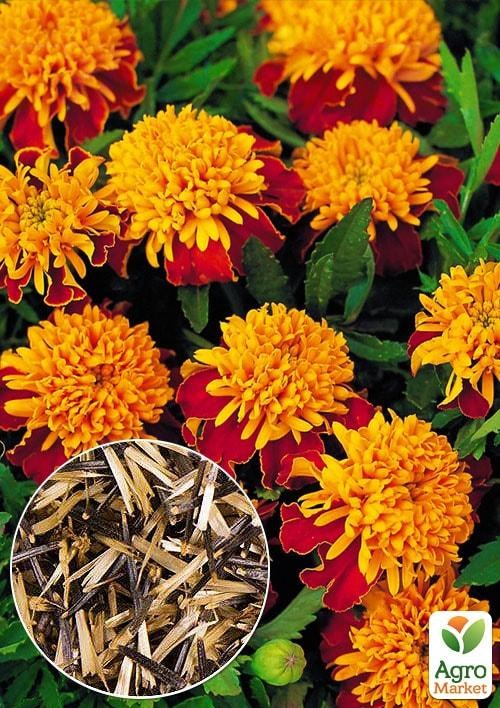 На развес Бархатцы "Глаз тигра" ТМ "Весна" цена за 2г