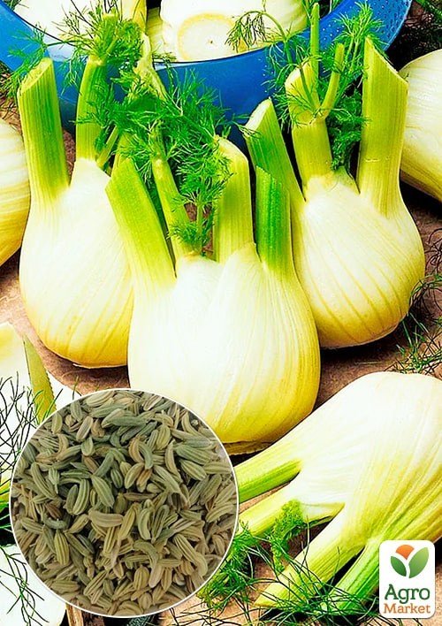 Фенхель (Большой пакет) ТМ "Весна" 4г