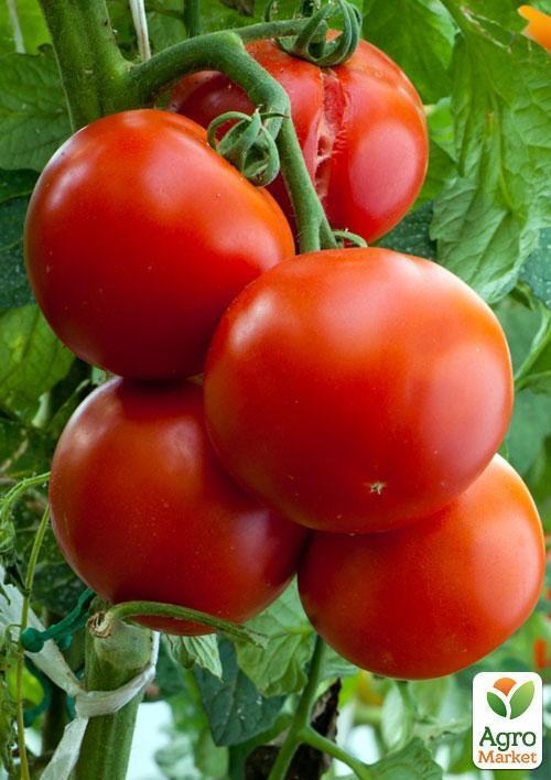 Томат "Мимоза" ТМ "Vesna Select" 0,2г