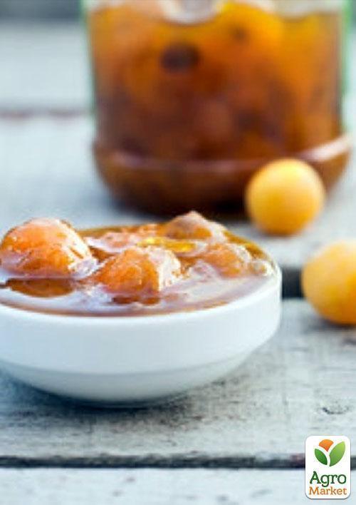 Слива "Ренклод Бове" (средний срок созревания) - фото 4