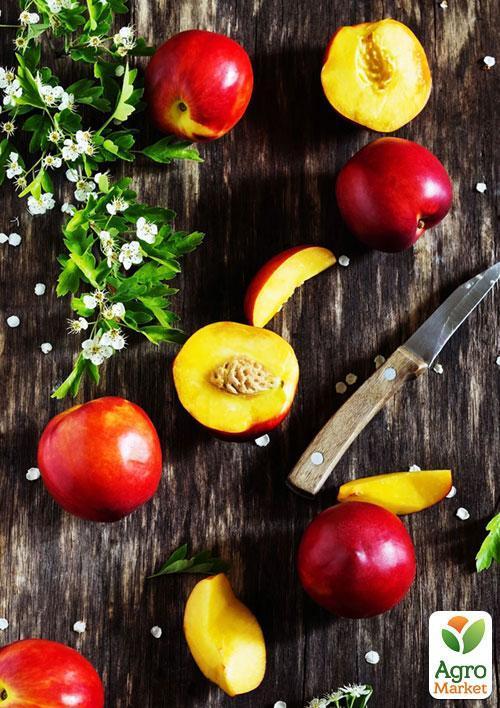 Нектарин "Супер Квин" (лысый персик, летний сорт, ранний срок созревания) - фото 5