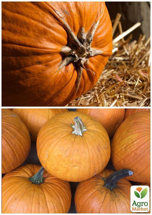 На развес Тыква "Гилея" ТМ "Весна" цена за 15г - фото 3