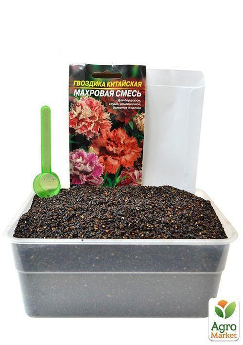 На вагу Гвоздика "Китайська махрова суміш" ТМ "Весна" ціна за 2г - фото 2