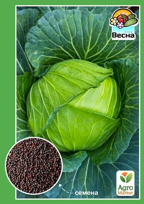 Капуста середньопізні "Подарунок" ТМ "Весна" 0.5г