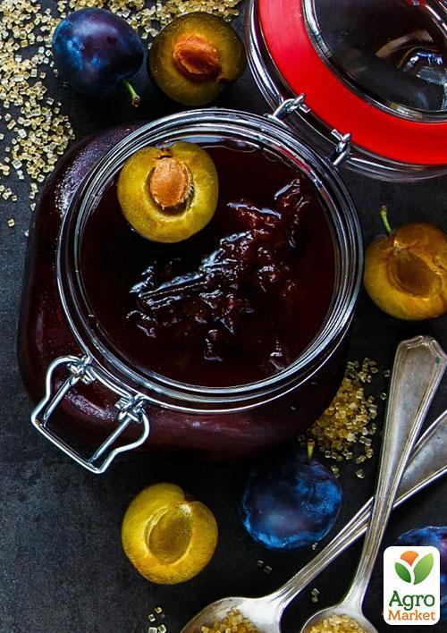 Эксклюзив! Слива темно-синяя "Галактика" (Galaxy) (канадская селекция, премиальный супер сочный сорт) - фото 7