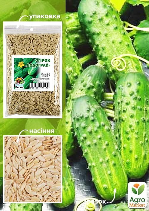 Огірок "Водограй" ТМ "Весна" 100г