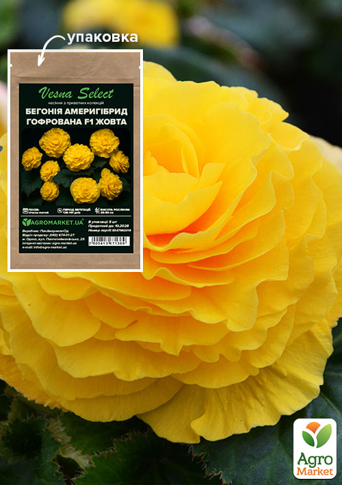 Бегония "Америгибрид гофрированная F1 желтая" ТМ "Vesna Select" 5шт