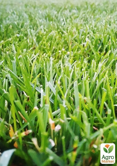 Трава "Райграс пасовищний" ТМ "Весна" 500г