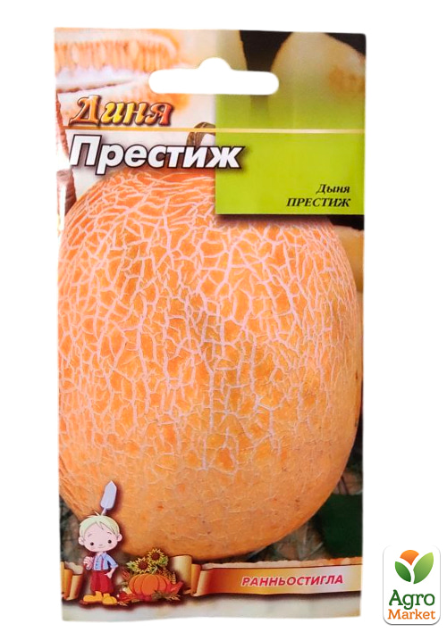 Диня "Престиж" ТМ "Весна" 1.5г - фото 3
