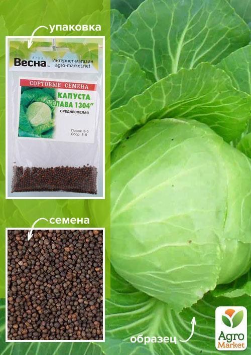 Капуста "Слава 1304" (Зипер) ТМ "Весна" 3г