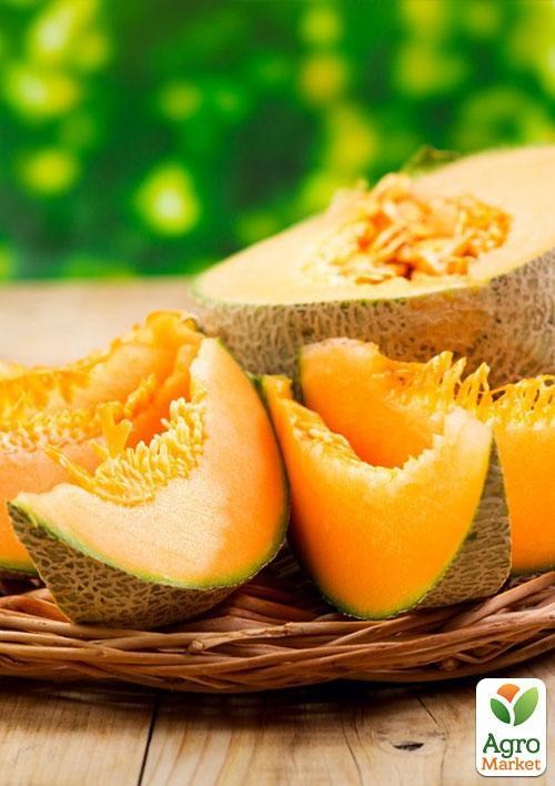 Дыня "Амулет"  (в банке) ТМ "Весна Органик" 25г