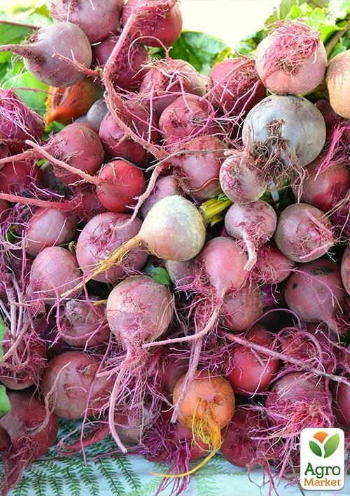 Комплект семян овощей на развес "Веселая грядка" 5уп