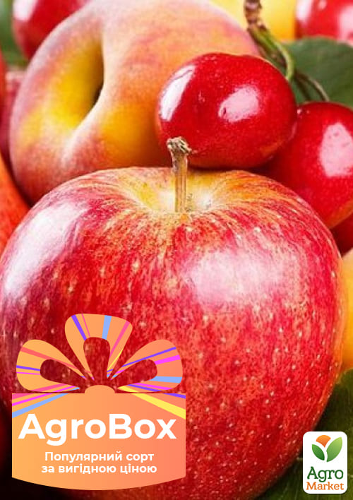 Эксклюзив! AGROBOX с высокоурожайным плодовым деревом