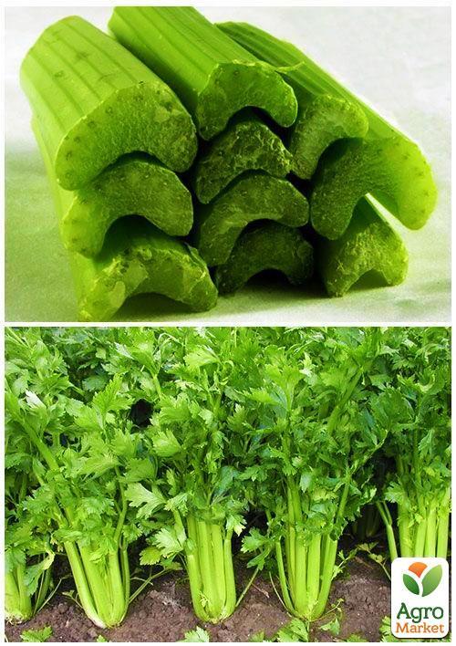 На развес Сельдерей черешковый ТМ "Весна" цена за 2г - фото 4