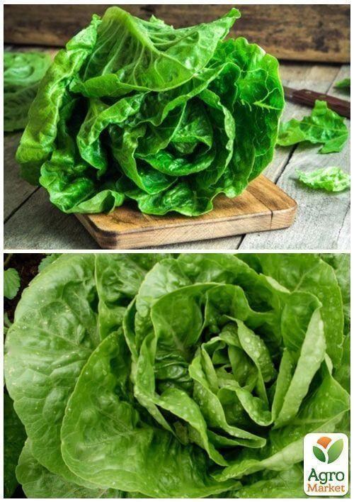 На развес Салат "Ромен" ТМ "Весна" цена за 2г - фото 4