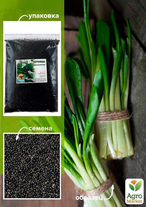 Черемша ТМ "Весна" 500г