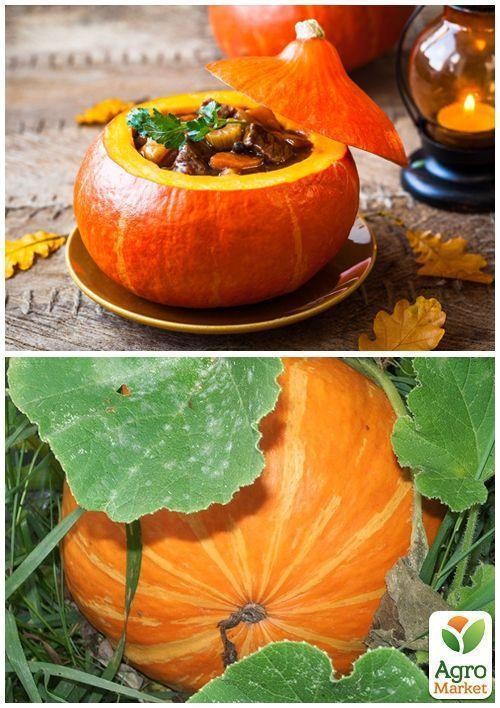 На развес Тыква "Колобок" ТМ "Весна" цена за 15г - фото 4