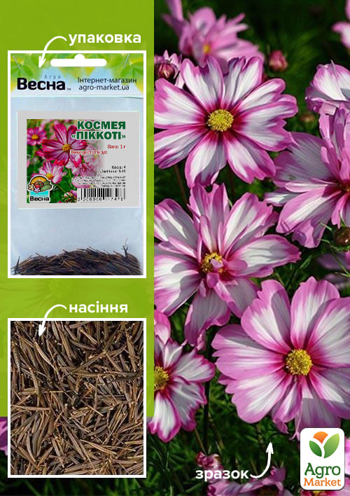 Космея "Піккоті" (Зипер) ТМ "Весна" 1г