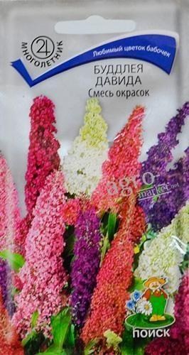 Буддлея Давида смесь ТМ "Поиск" 10шт