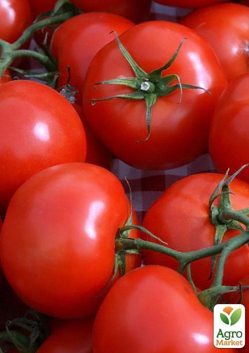 Томат "Зимняя вишня" ТМ "Vesna Select" 0,2г - фото 4