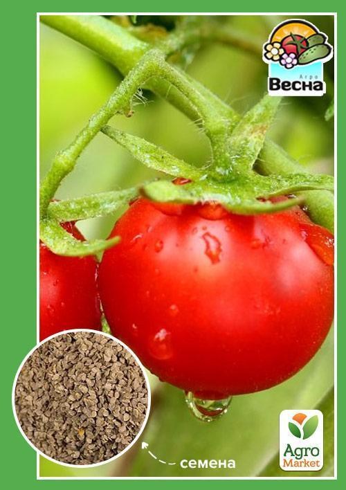 Томат "Меркурий F1" ТМ "Весна" 0.1г