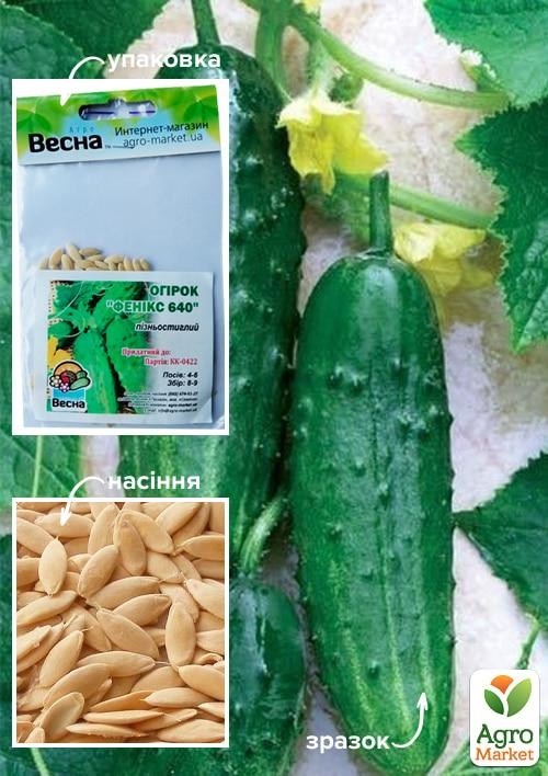 Огірок "Фенікс 640" (Зипер) ТМ "Весна" 2г