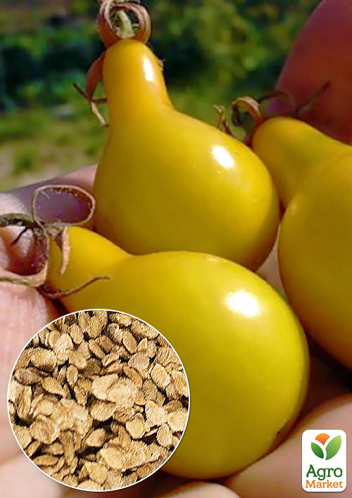 На развес Томат "Лампочка медовая" ТМ "Весна" цена за 1г