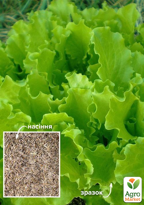 На развес Салат "Нежный кудрявец" ТМ "Весна" цена за 8г