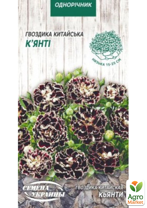 Гвоздика китайская "Кьянти" ТМ "Семена Украины" 0.1г