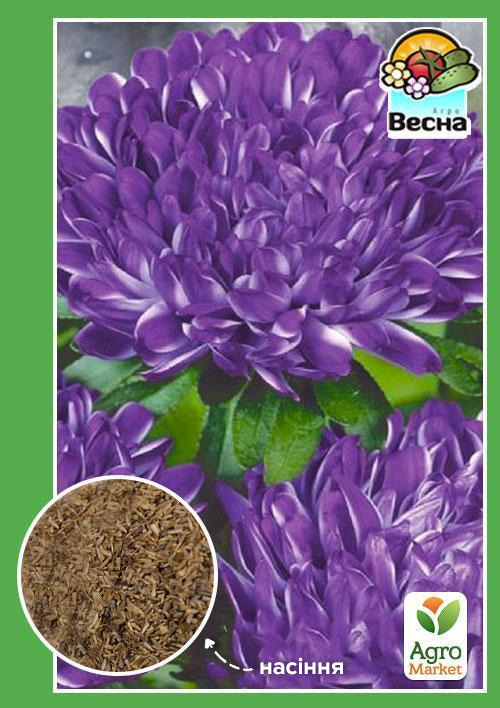Астра "Седая дама фиолетовая" ТМ "Весна" 0.2г